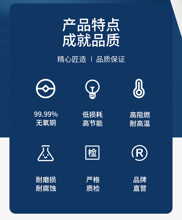 安普RVV電線護(hù)套線2芯國(guó)標(biāo)純銅0.5/0.75/1/1.5/2.5平方電纜電源線