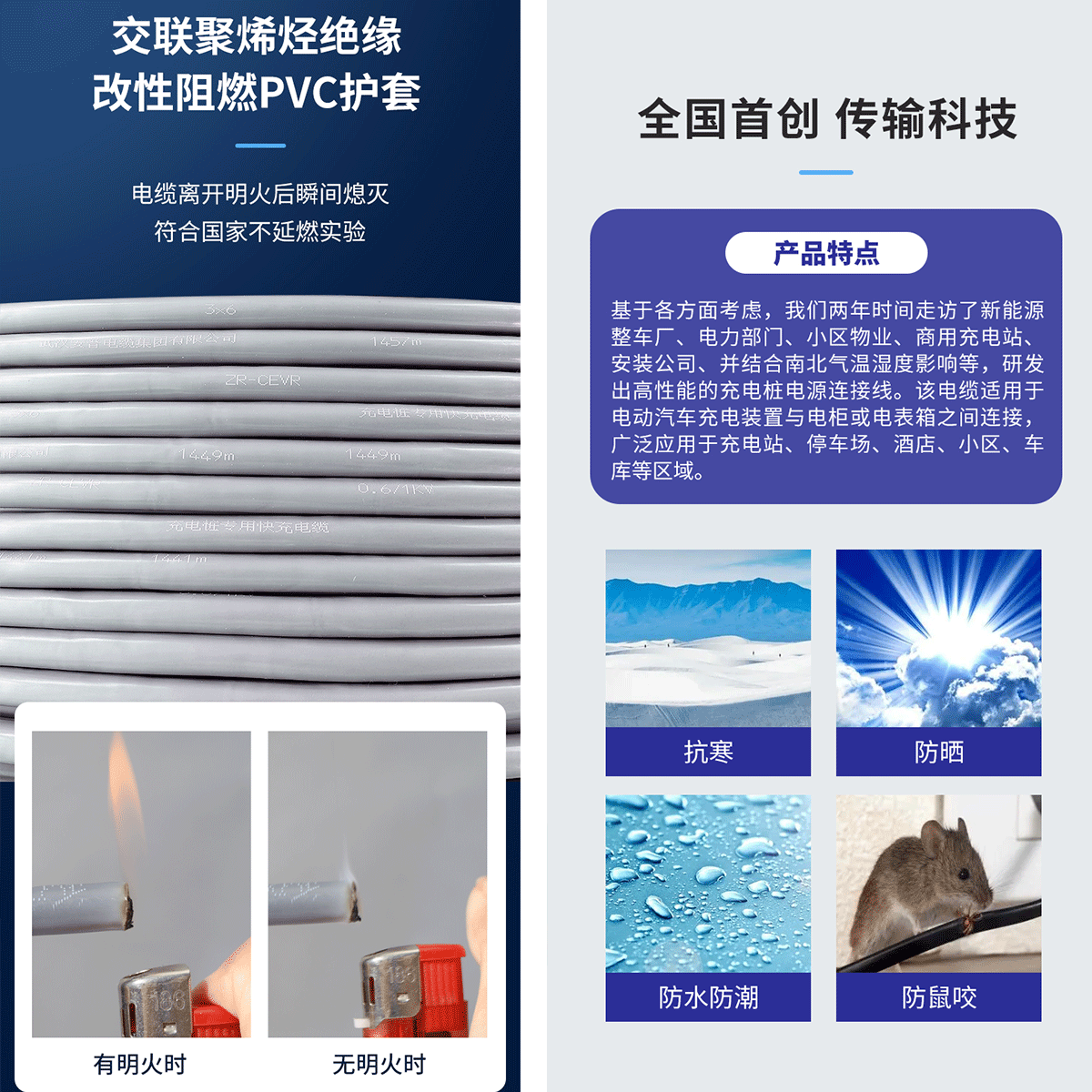 緊跟時代，藍海啟航！