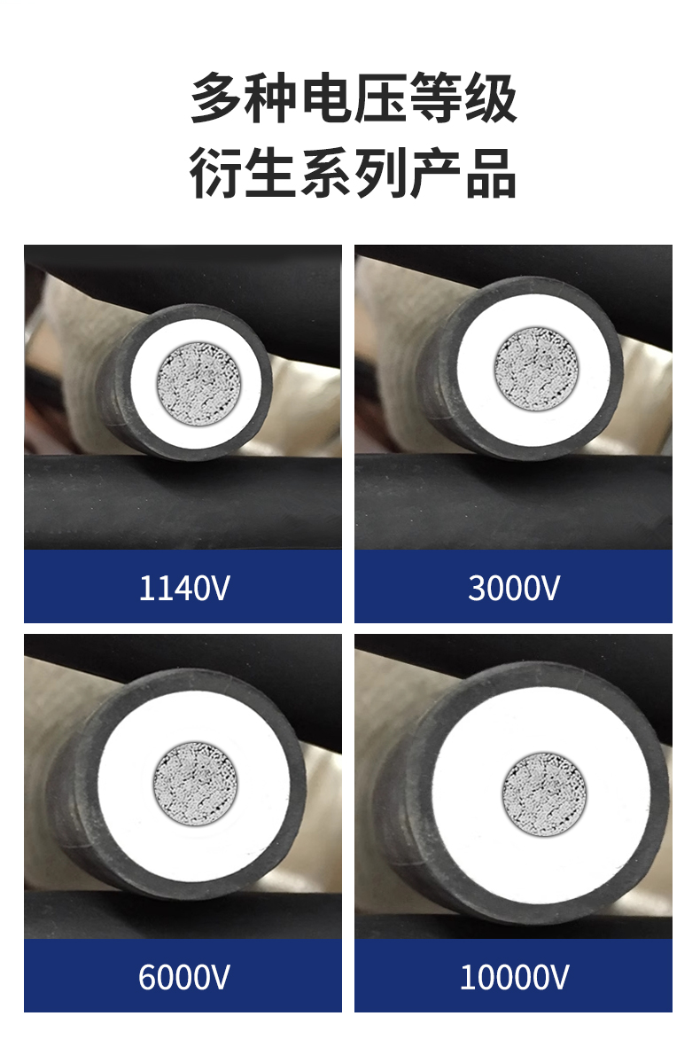 安普J(rèn)BQ電機(jī)橡皮引接線鍍錫純銅絕緣電機(jī)光伏發(fā)電配電柜設(shè)備電纜