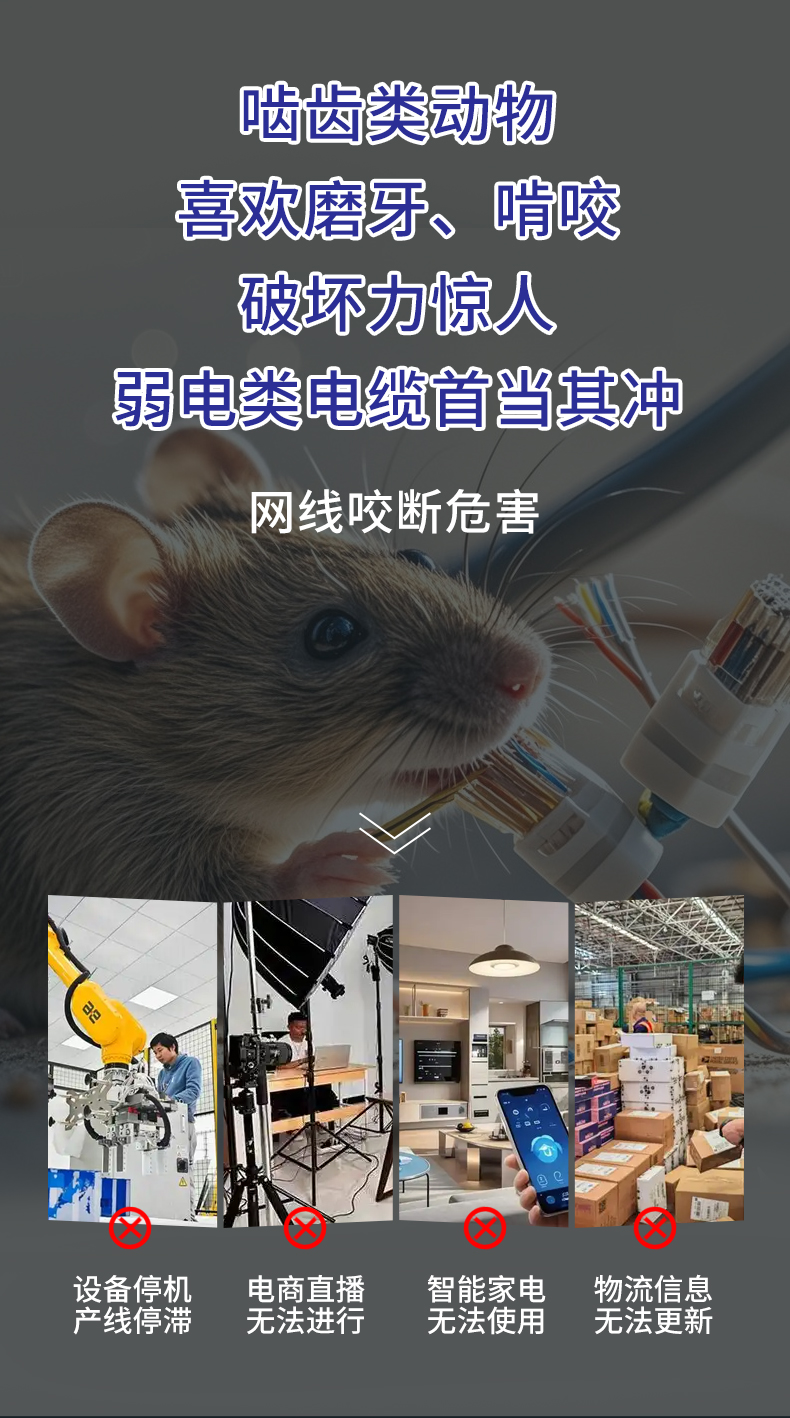 安普室外六類鎧甲屏蔽網(wǎng)線防老鼠咬可地埋鎧裝防水防曬戶外網(wǎng)絡(luò)線