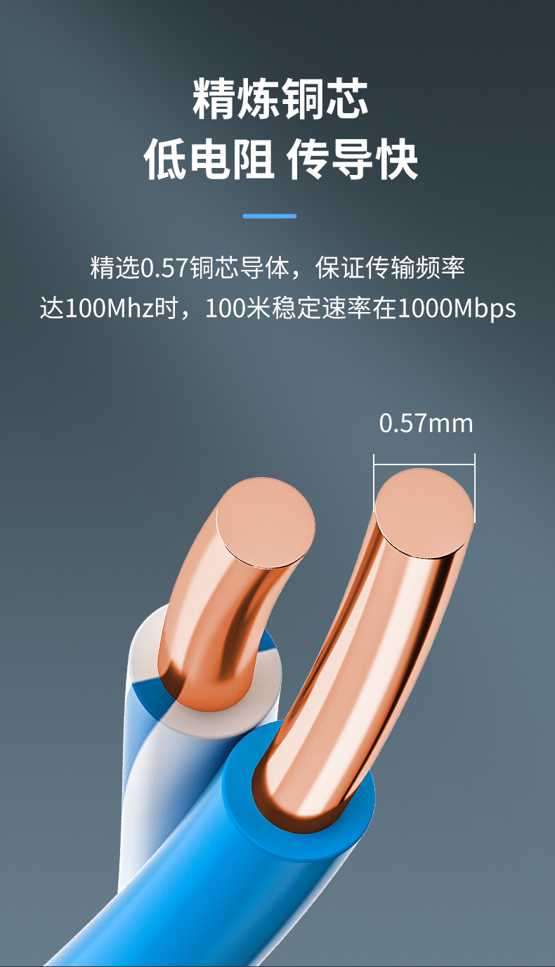安普室外六類鎧甲屏蔽網(wǎng)線防老鼠咬可地埋鎧裝防水防曬戶外網(wǎng)絡(luò)線